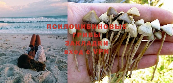 Альфа ПВП Баксан