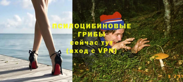 ALPHA-PVP Покров